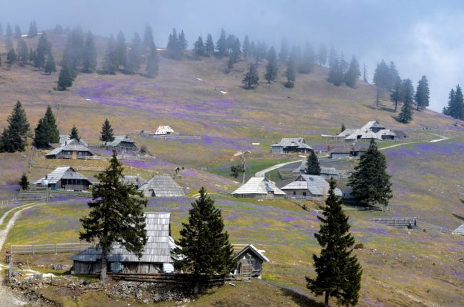 Velika-planina_Malaplanina1200pxc