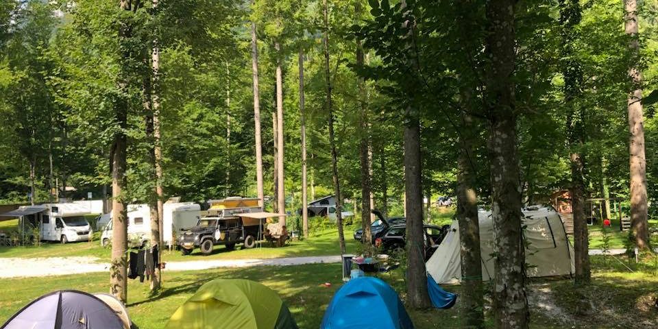 Kamp Alpe
