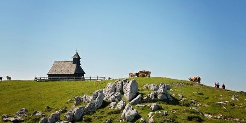 SOBOTNI VODENI OGLEDI