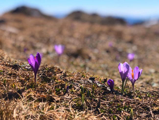 EAD7A678-09E6-4254-97AF-59C4453CCA12