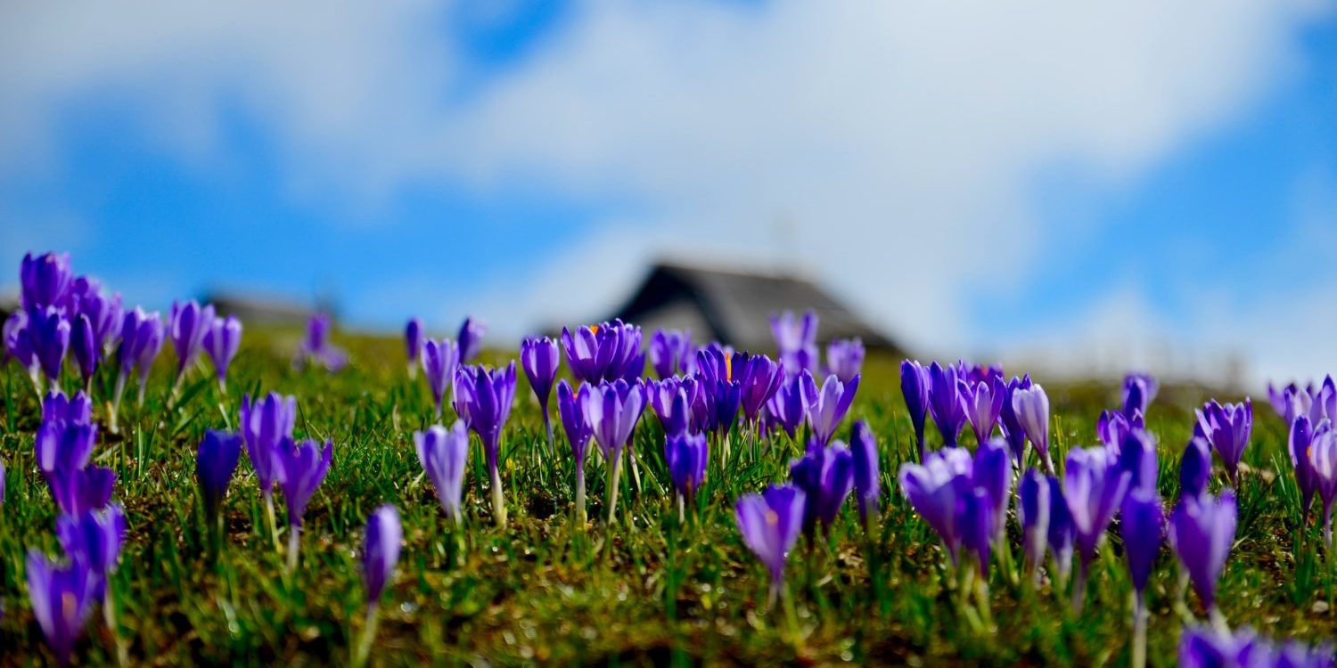 1500px3