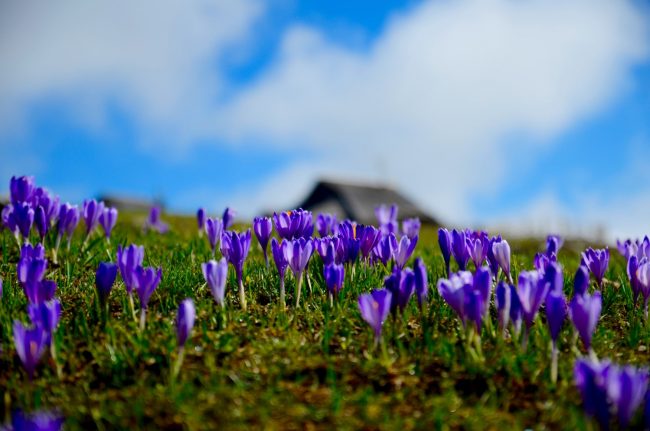 1500px3