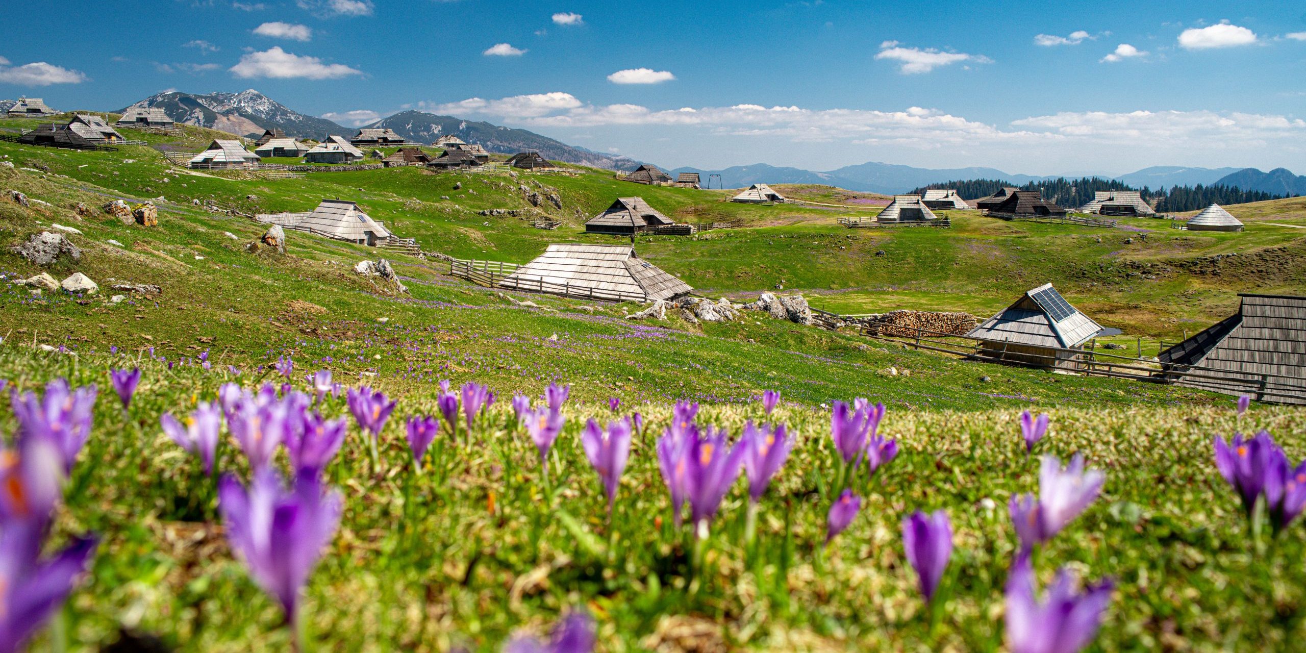 Foto Grega Eržen_1 (2)