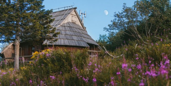 koca-korosica-1024×515