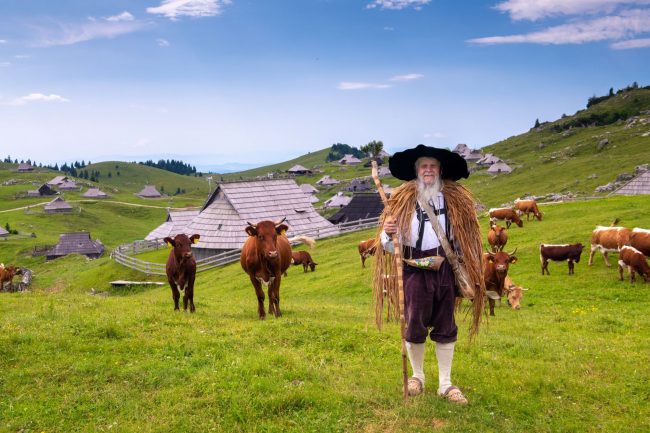 Izvedeli boste kaj je tipična pastirska noša in s česa je sestavljeno pastirsko oblačilo.