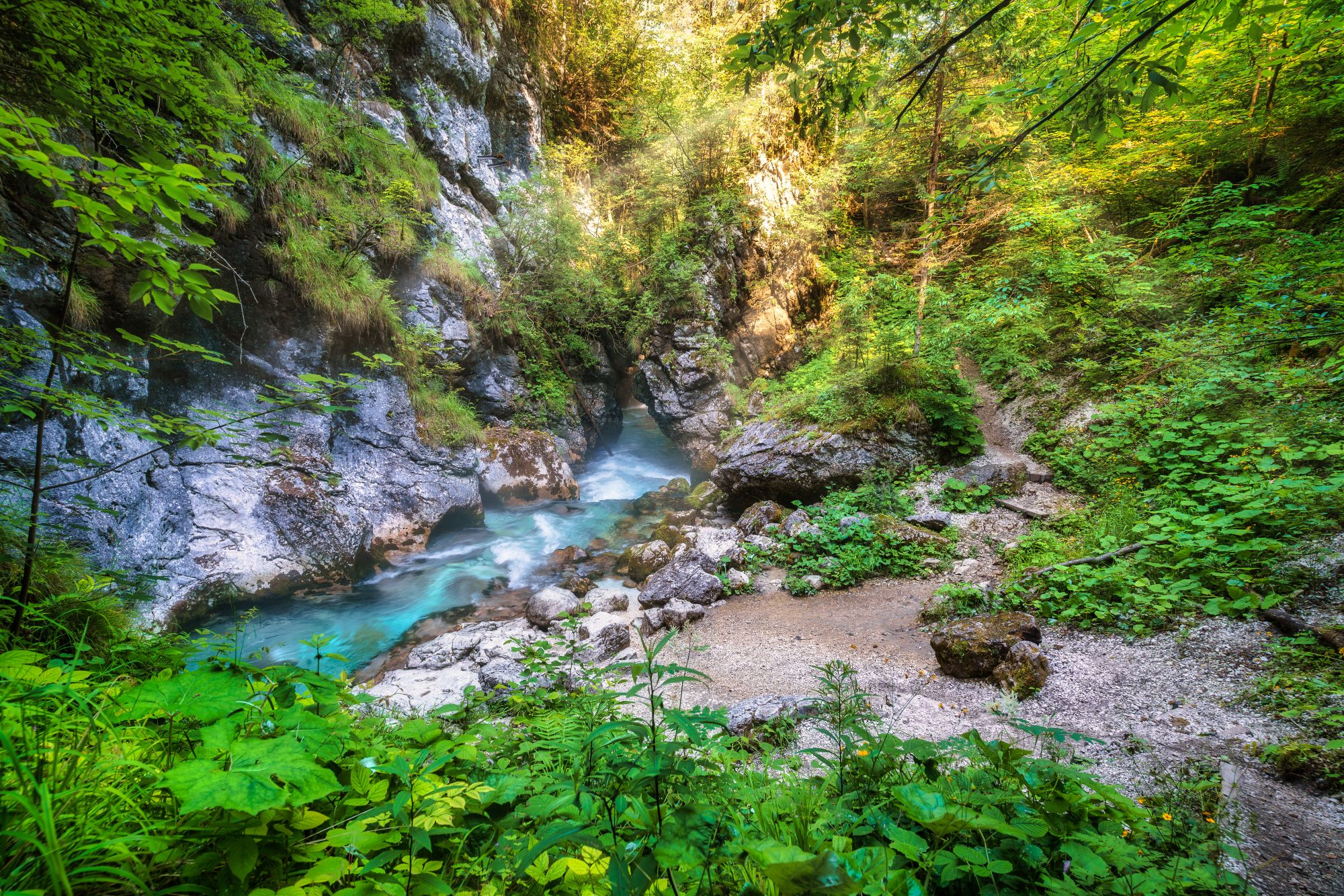 Predaselj – Kamniška Bistrica – Miro Hrkalović_2000px